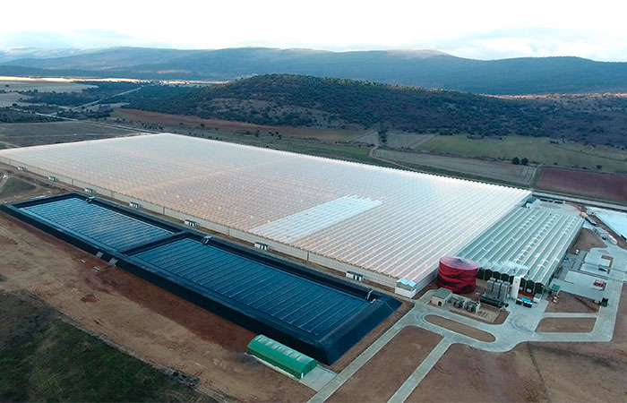 UGT FICA Soria exige a Ondara que invierta en el invernadero de Garray